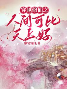 穿越之修仙 小说