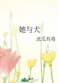 她与白玫瑰txt下载